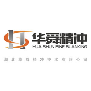湖北華舜精沖技術(shù)有限公司