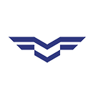 東風(fēng)（武漢）實業(yè)有限公司